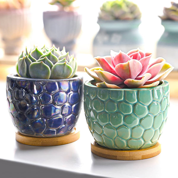 Oceanic Fish Scale Pattern Planters