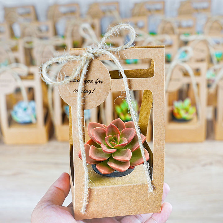 succulents party favors Succulent Wedding Favors Kraft Box(Tag Custom Supported)