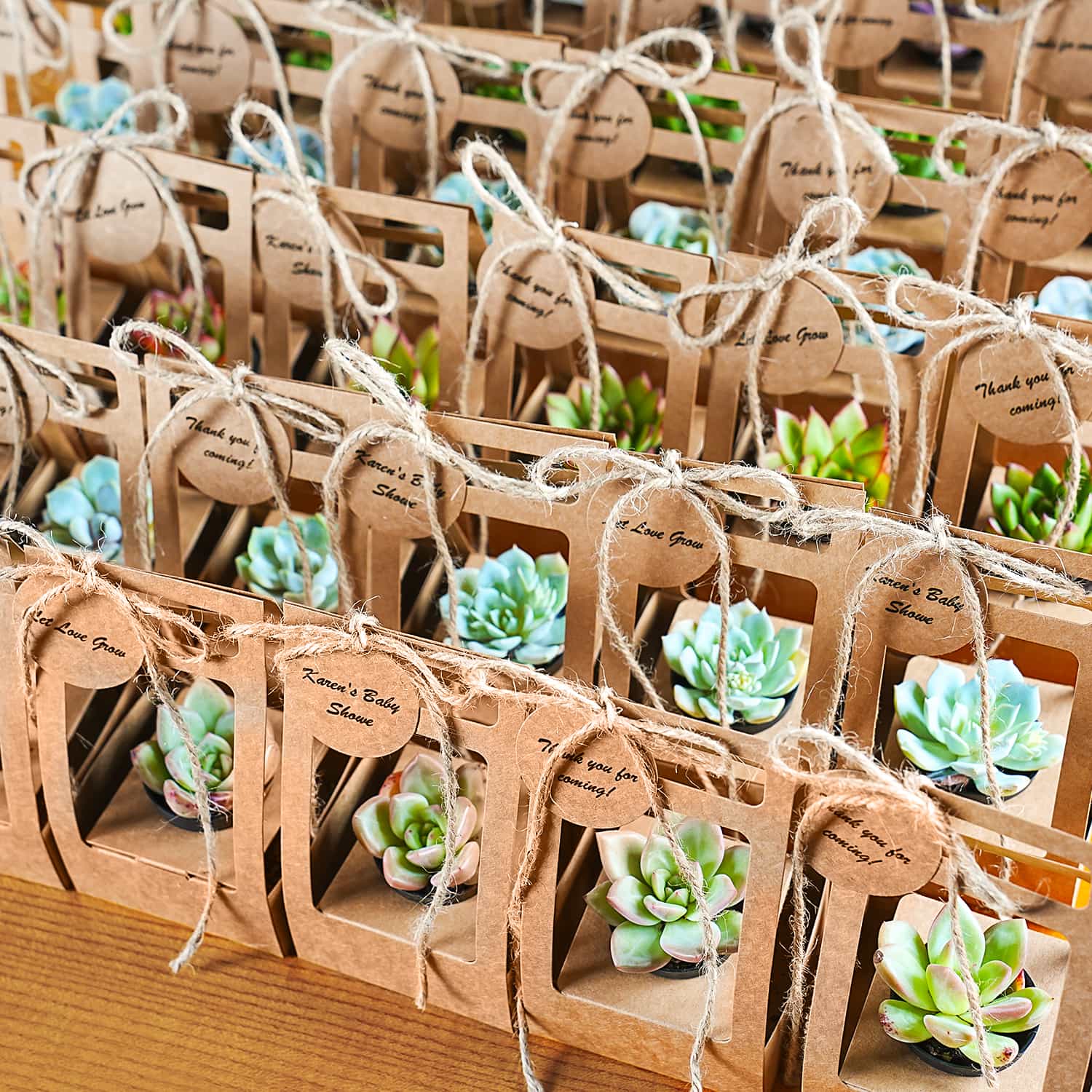 Cheap Succulent Wedding Favors Succulent Wedding Favors In Tea