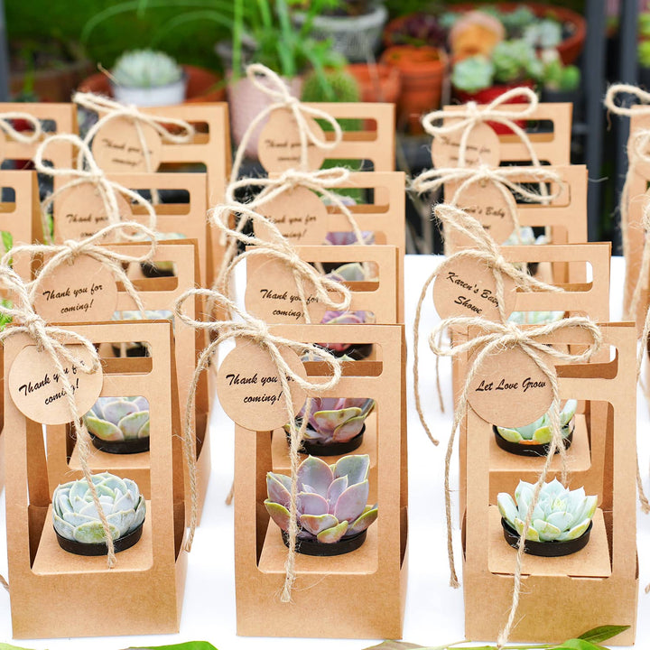 succulent return gifts Succulent Wedding Favors Kraft Box