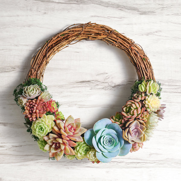 Succulent Wreath DIY Kit, 10"