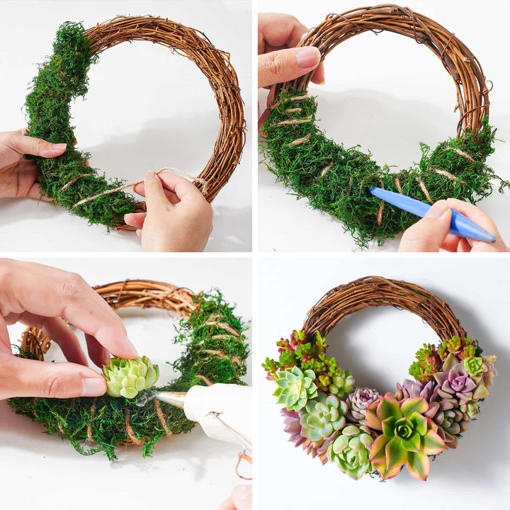 Succulent Wreath DIY Kit, 6  Succulent wreath diy, Succulent