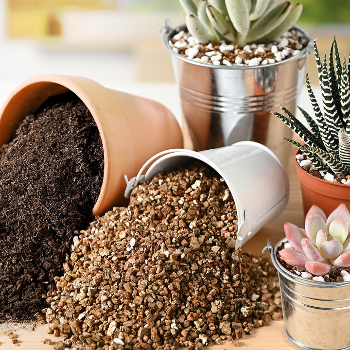 succulents vermiculite Horticultural Grade Plantation Vermiculite 3-6MM