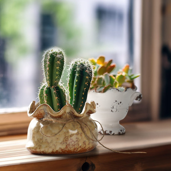 vintage-burlap-sack-ceramic-planter-with-cactus-on-the-windowsill