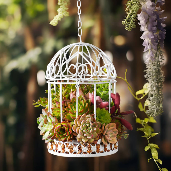 a-vintage-iron-birdcage-succulent-hanging-planter-is-hanging-on-the-tree