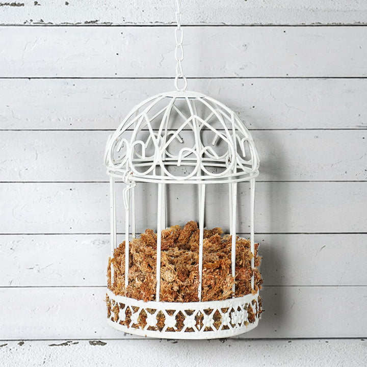a-vintage-iron-birdcage-succulent-hanging-planter-is-hanging-on-the-wall