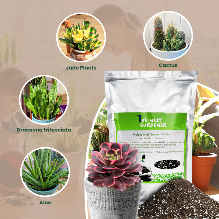 succulent potting soil near me Organic Succulent and Cactus Soil Mix