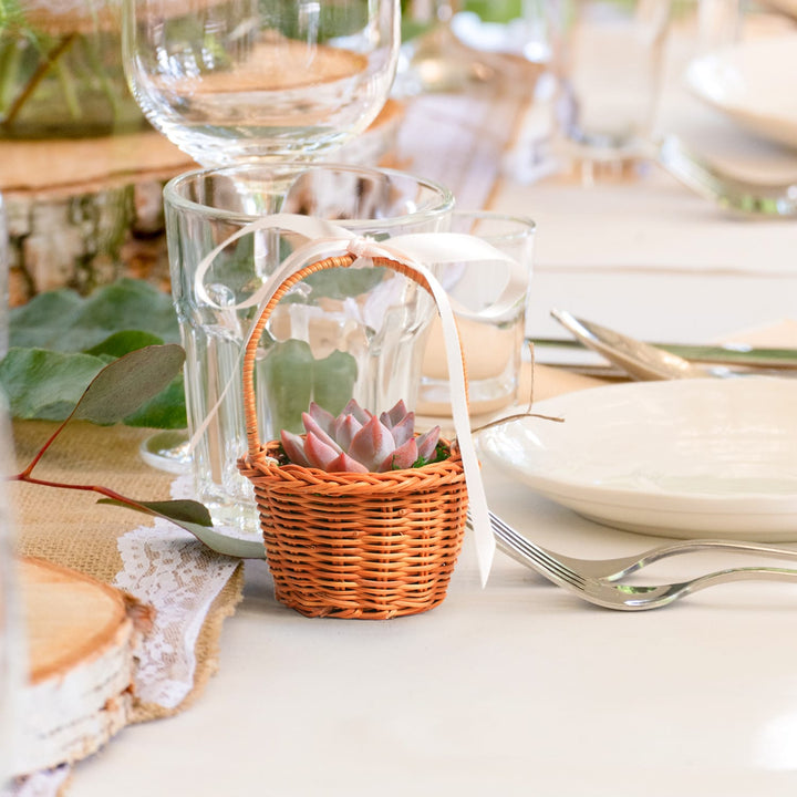 cute-basket-succulent-favor-on-the-table