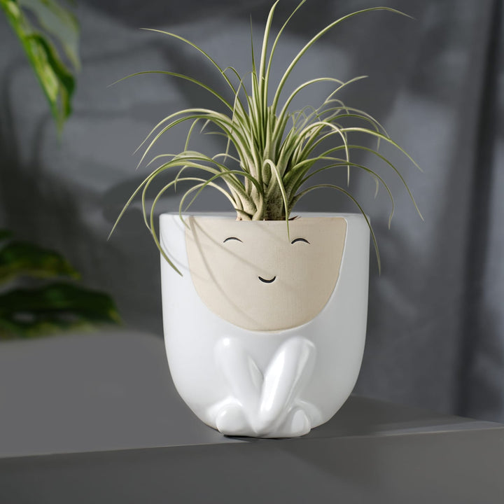 cute-happy-face-ceramic-planter-with-air-plants