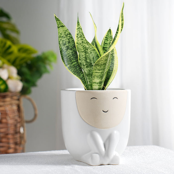 cute-happy-face-ceramic-planter-with-houseplant
