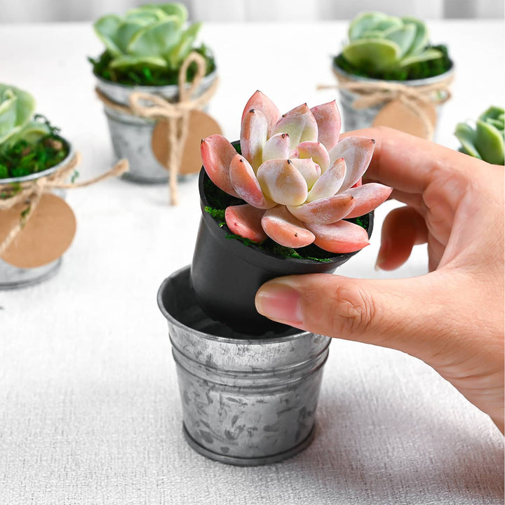 sucker for succulents Mini Classic Metal Bucket Succulent Favors (Tag Custom Supported)