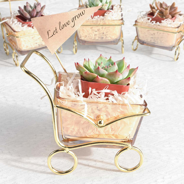 glass-container-succulent-favors