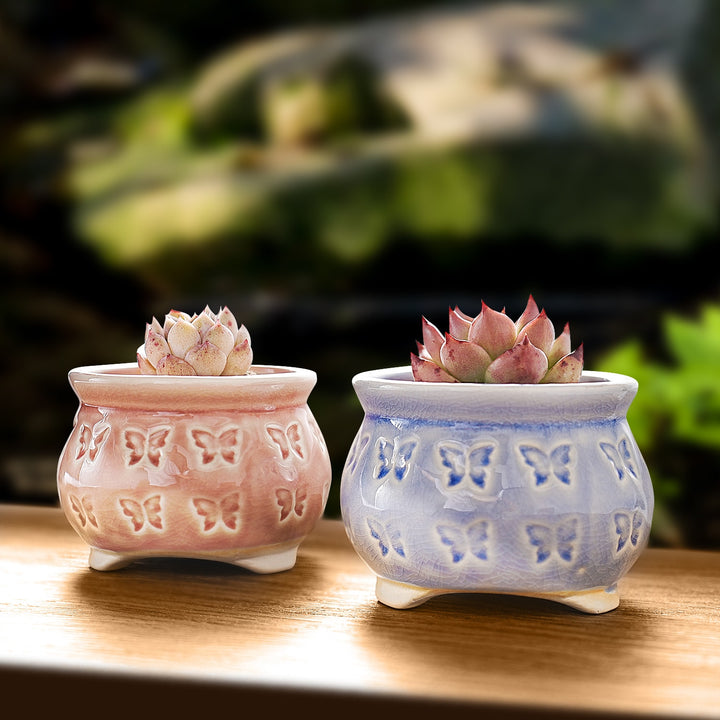 ice-crack-glaze-ceramic-planter-pot,cute-butterfly-