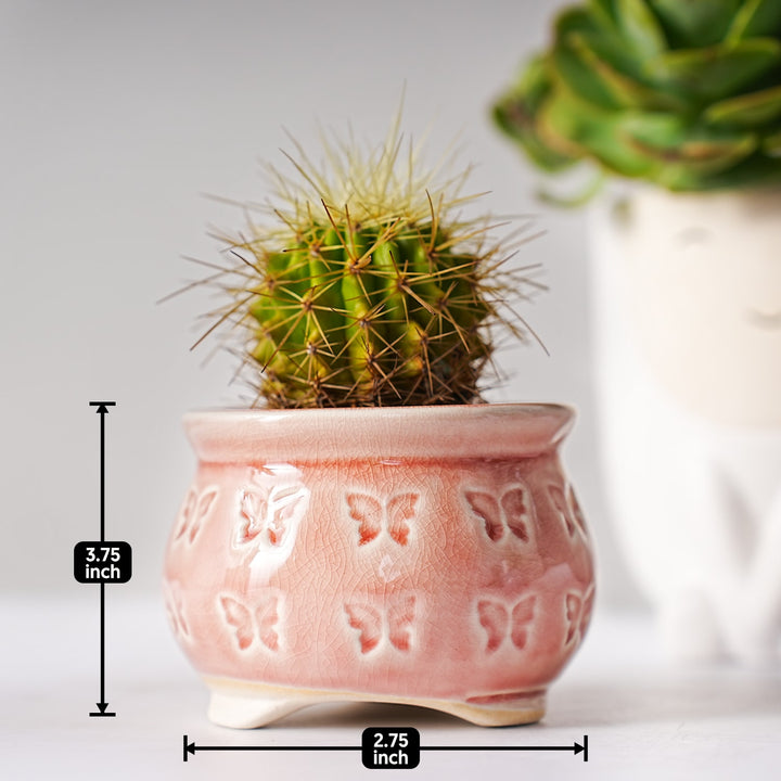 ice-crack-glaze-ceramic-planter-pot,cute-butterfly-
