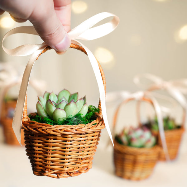 mini-rattan-basket-succulent-favors