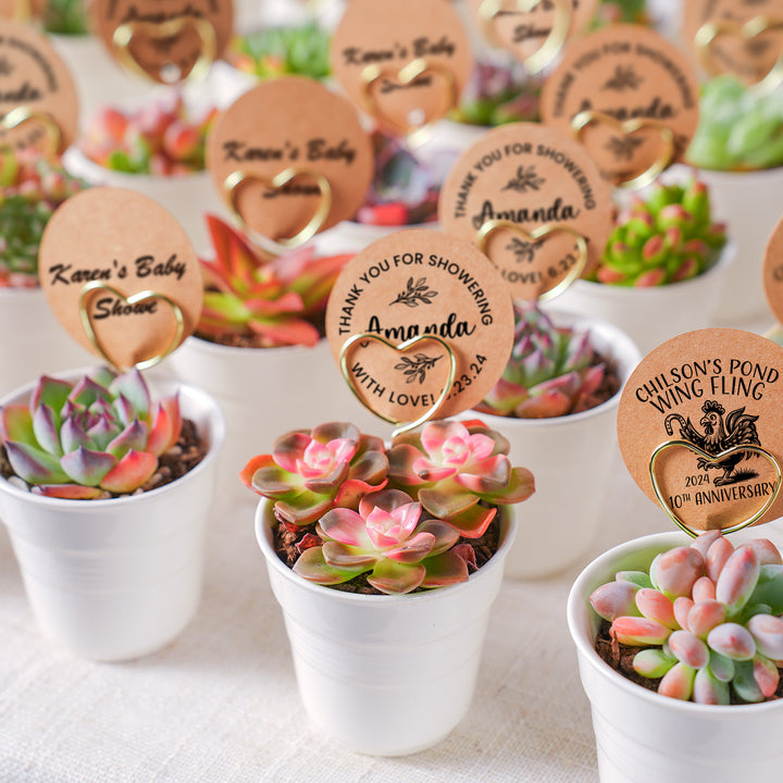 succulent giveaways Chic White Ceramic Handheld Cup Succulent Favors (Tag Custom Supported)