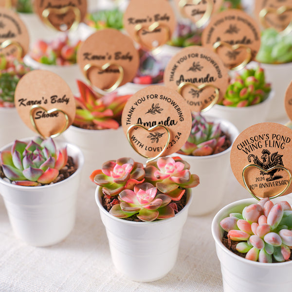 Chic White Ceramic Handheld Cup Succulent Favors (Tag Custom Supported)