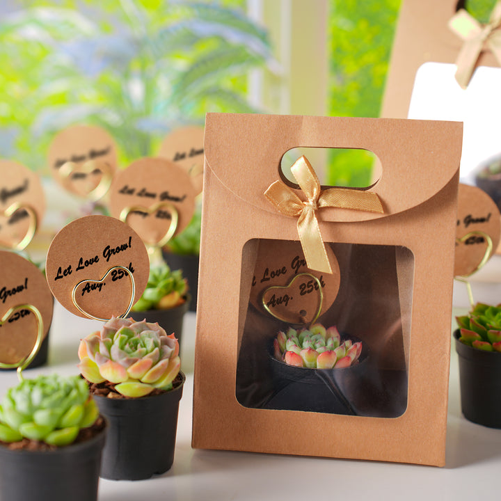 succulent bag Vintage Kraft Gift Bag Succulent Favors
