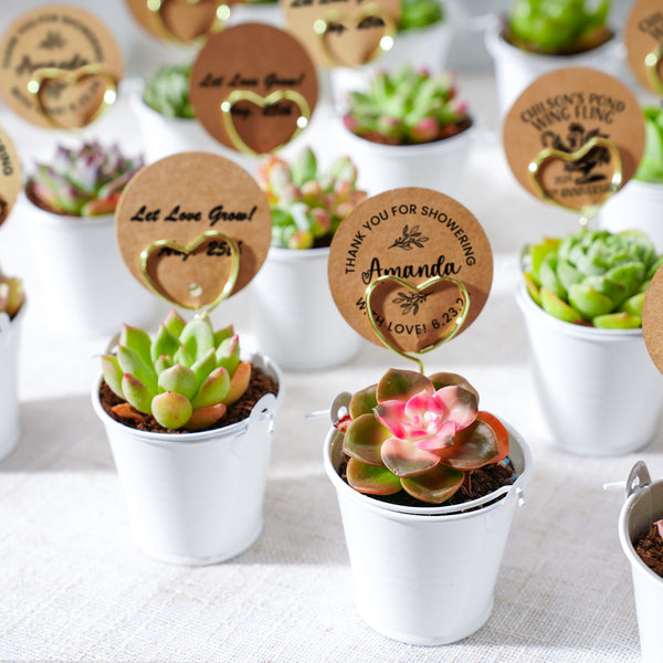 Elegant White Metal Buckets Succulent Favors (Tag Custom Supported)