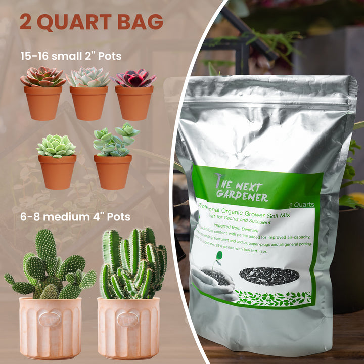 succulent soil target Organic Succulent and Cactus Soil Mix