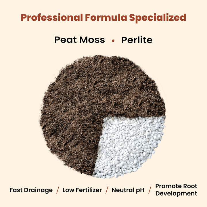 is expert gardener potting mix good for succulents Organic Succulent and Cactus Soil Mix