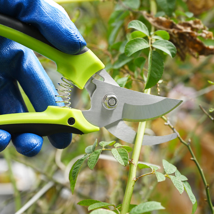    use-curved-mouth-pruning-shears-scissors-to-trim-stem-of-plants