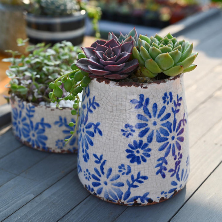 vintage-blue-and-white-pottery-planter
