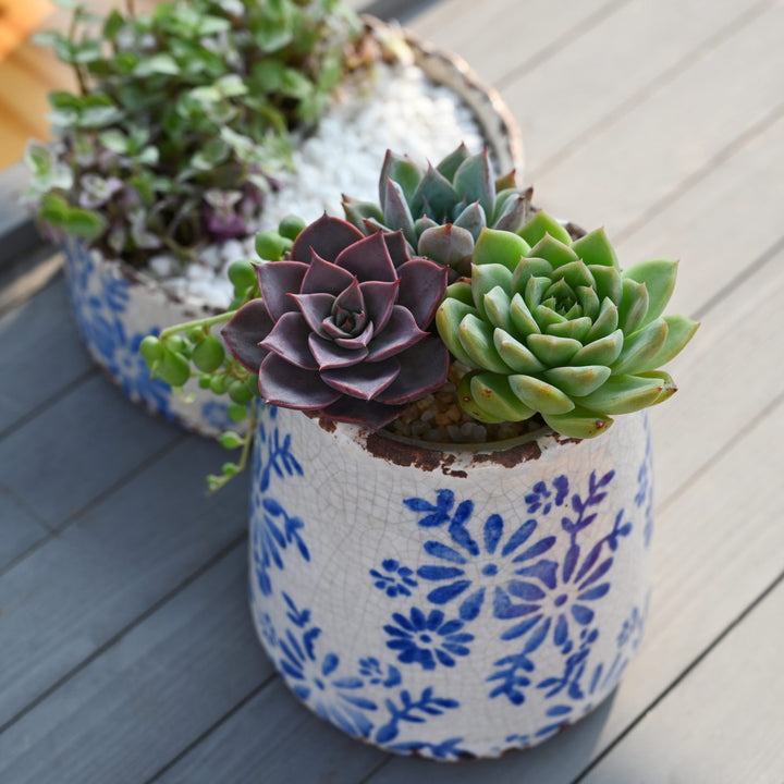 vintage-blue-and-white-pottery-planter