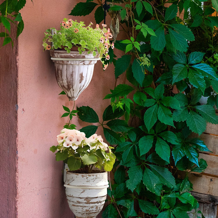 outdoor-wall-planter-holder-ring
