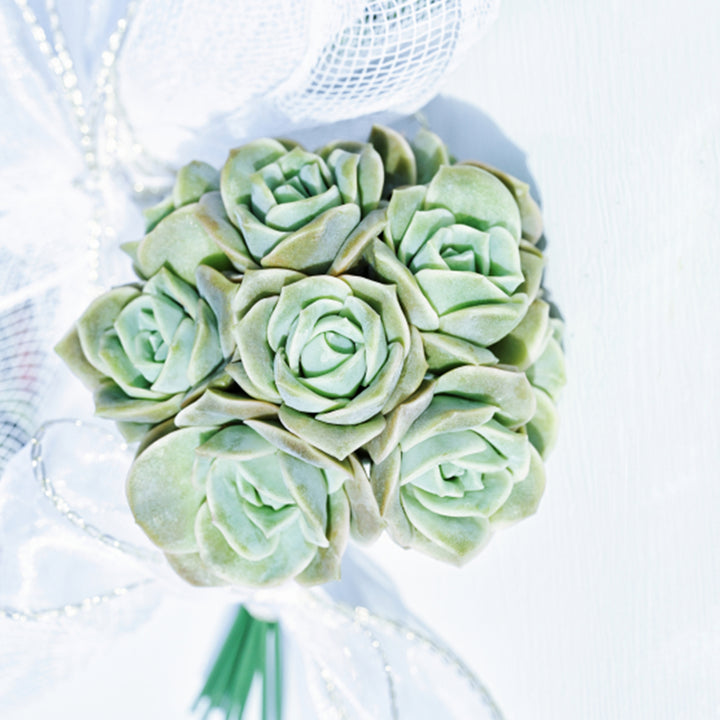 x Graptoveria 'Lovely Rose' Set Wedding bouquets