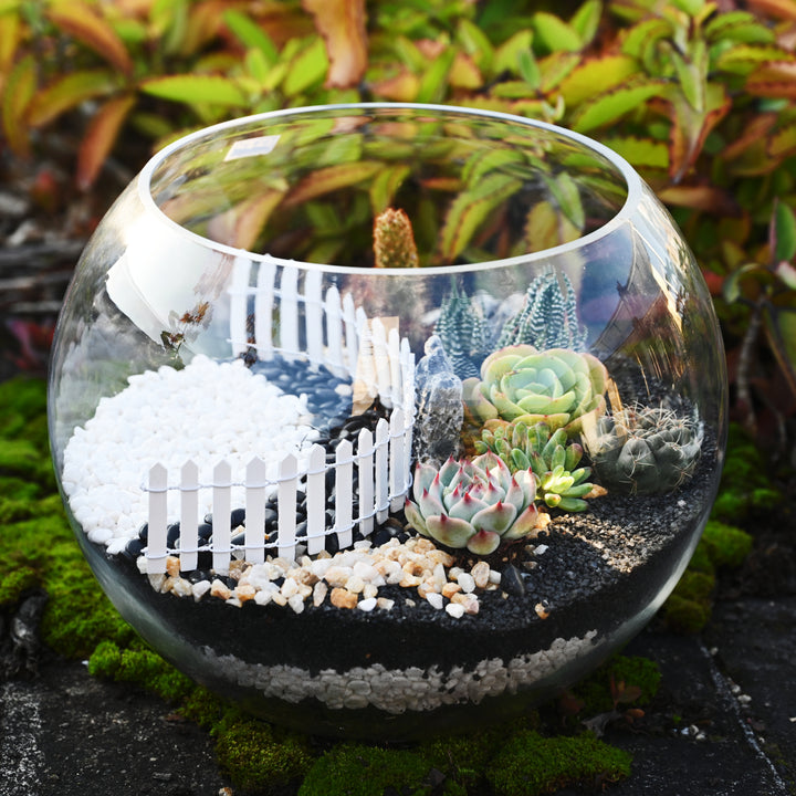 white succulent rocks Succulent and Cactus Bonsai DIY Rocks, White Onyx