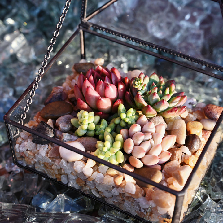 river rocks for succulents Smooth Natural River Stones Rocks, 8mm-12mm 2.5 lb