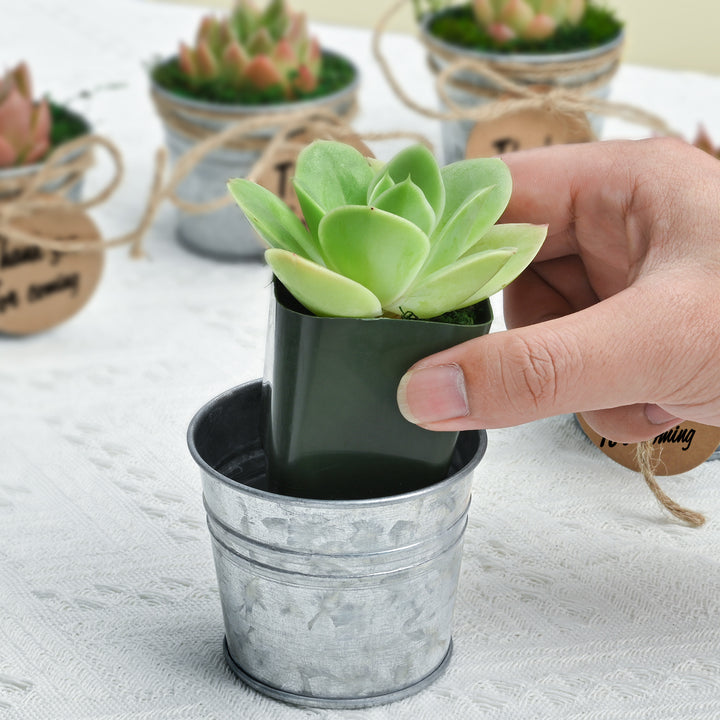 drop a mini green succulent in a tin matte bucket