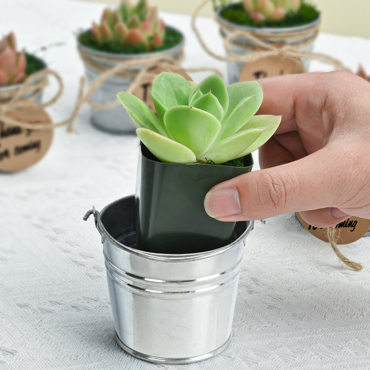 drop a mini green succulent in a tin glossy bucket