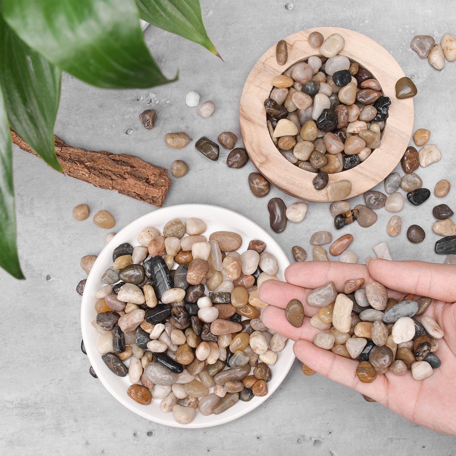 Smooth Natural River Stones Rocks, 8mm-12mm – Thenextgardener