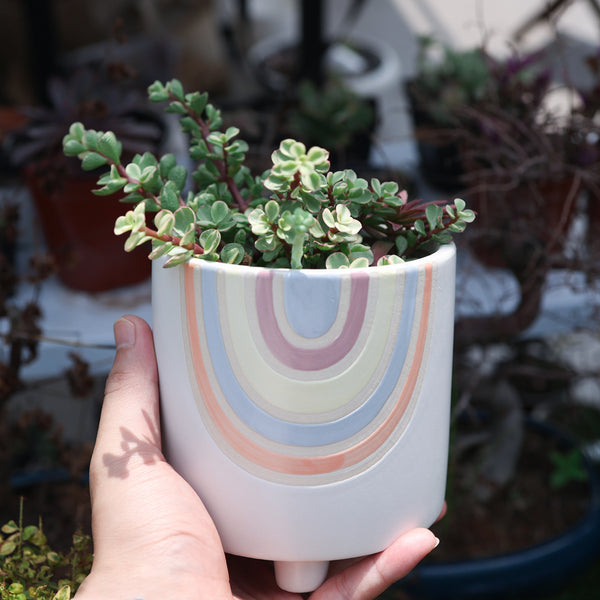 Rainbow Ceramic Planter Pot with Feet