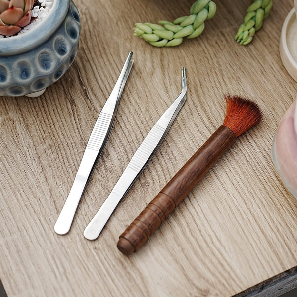 Cleaning Tools Set for Succulents Care