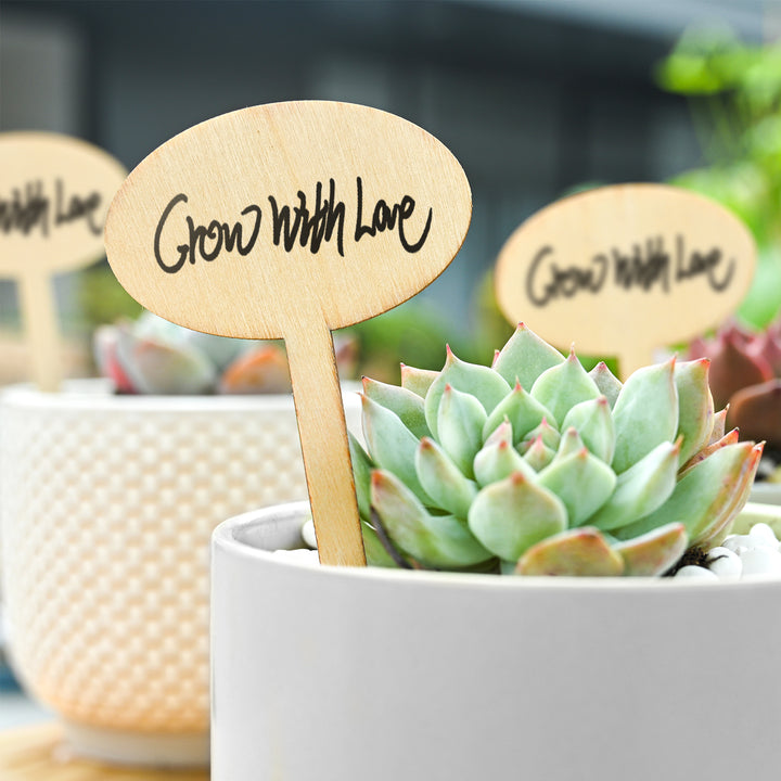 Succulent Favor Tags Wood Oval Stake