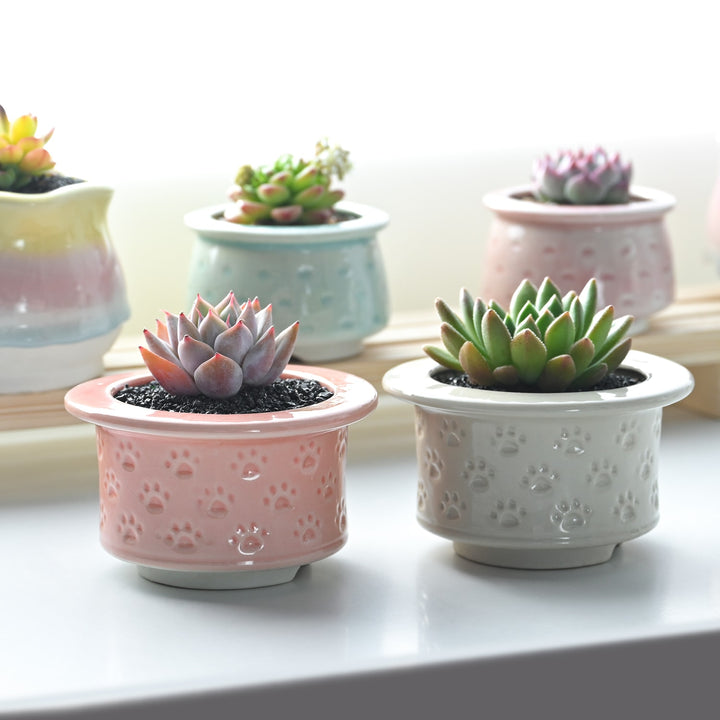 ceramic-glaze-crackle-small-succulent-planter-set-displayed-by-the-window
