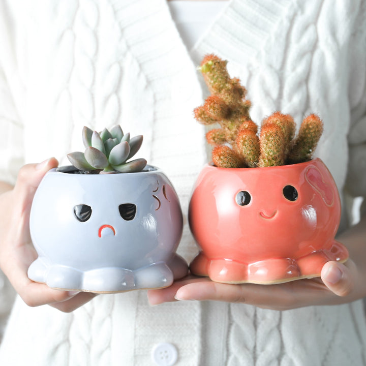 Funny Cute Octopus Planters, Set of 2