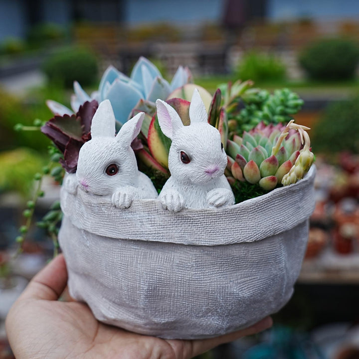 easter-bunny-succulent-planter