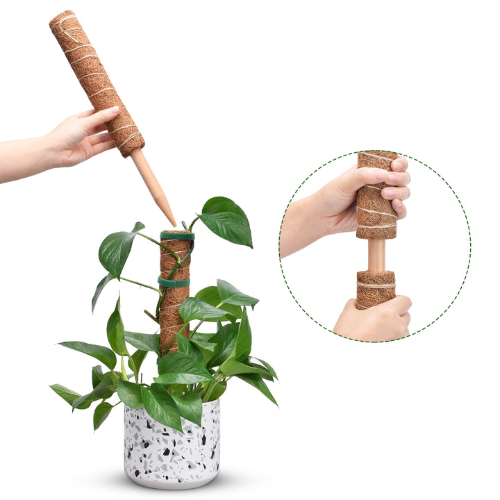 Coco Coir Poles plant support 100% Biodegradable, Coconut Products