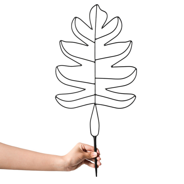 Monstrella Plant Trellis