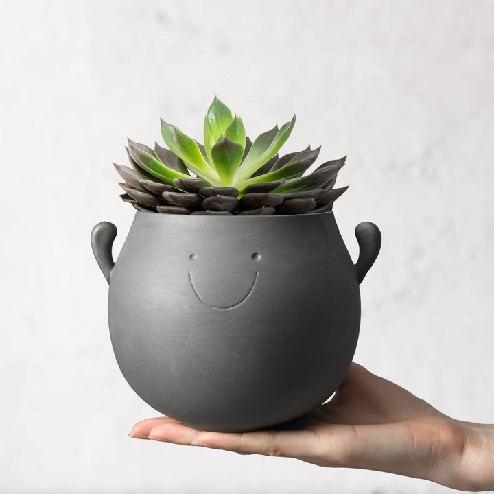 Smile Happy Face Planter