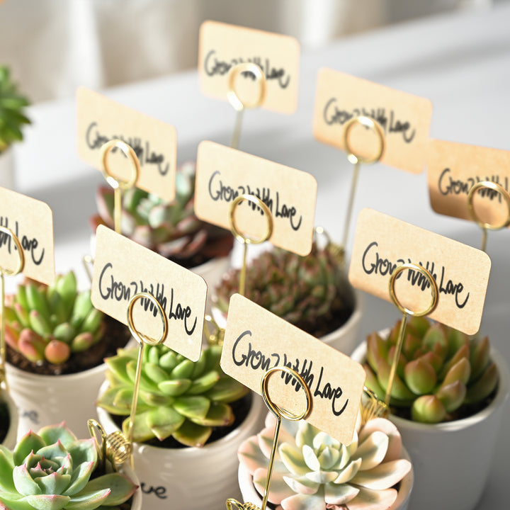 succulent card holder Succulent Favor Tags Metal Note Clip