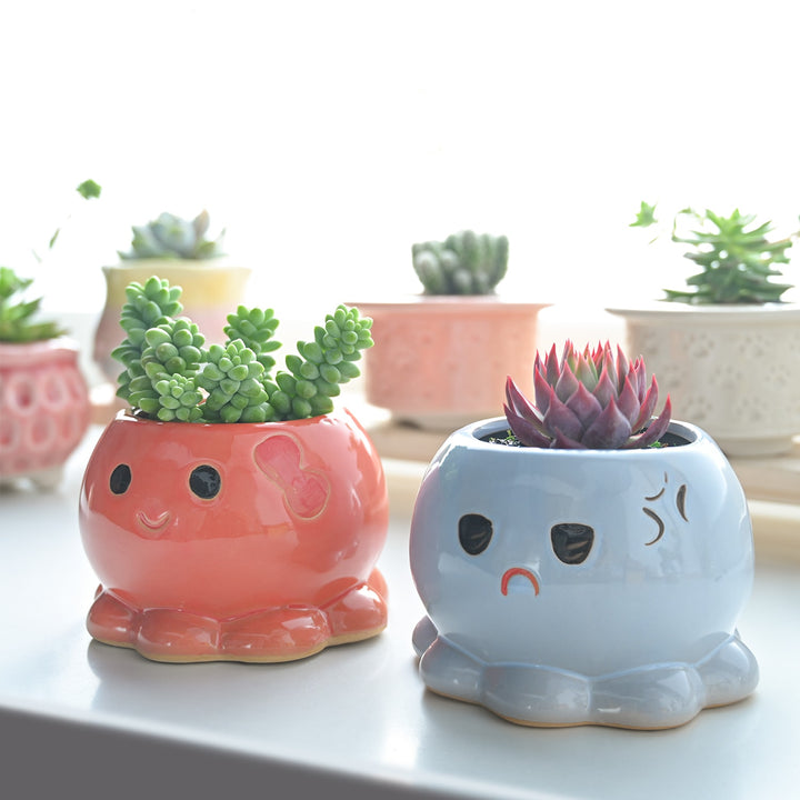 Funny Cute Octopus Planters, Set of 2