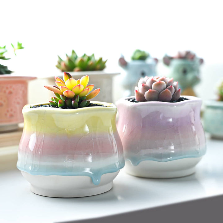 small ceramic succulent pots Sweet Gradient Drip Glaze Planters, Set of 2 – Thenextgardener