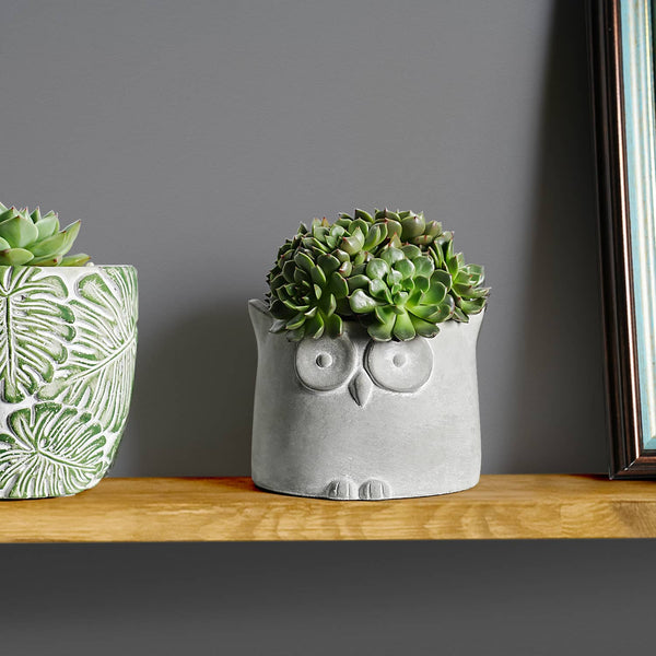 Succulents and owl cement planter on shelf