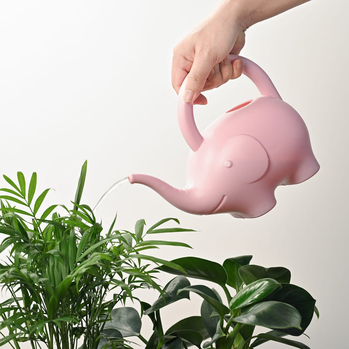 Watering houseplants with the elephant water can